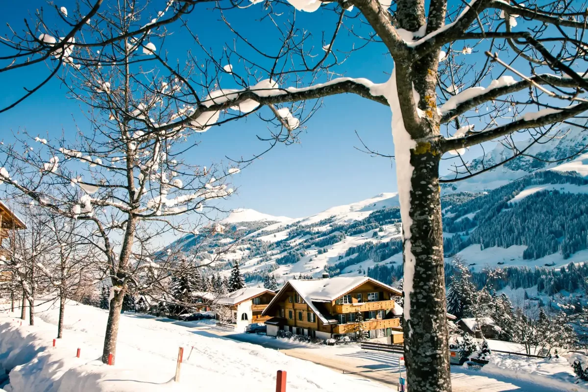 Snowy-Adelboden-Switzerland