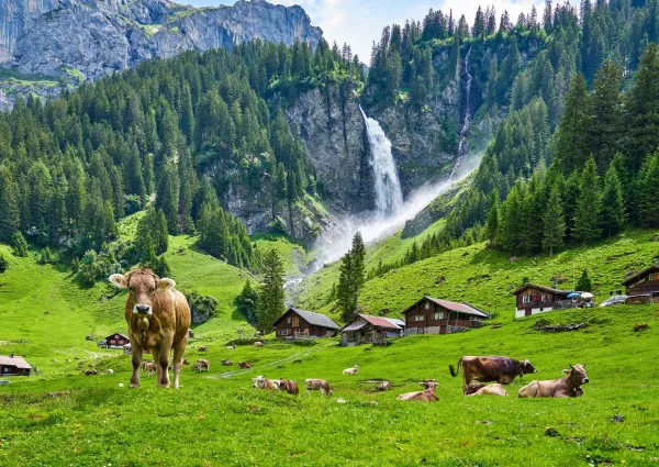 Altdorf-s-nature-Switzerland