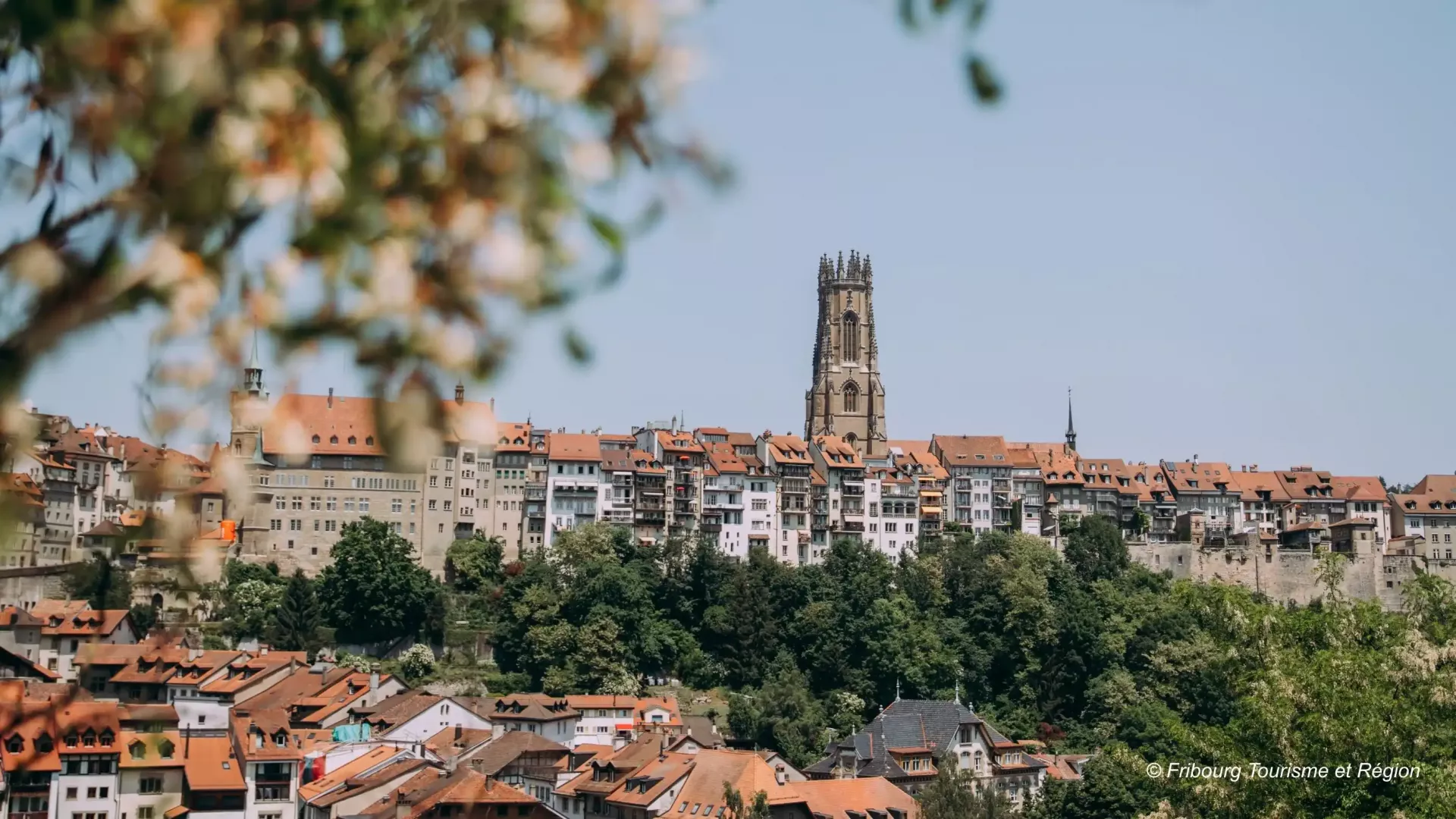 fribourg