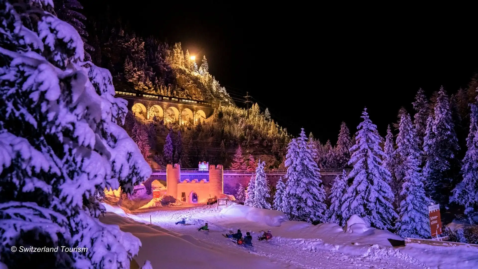 night-time-tobogganing