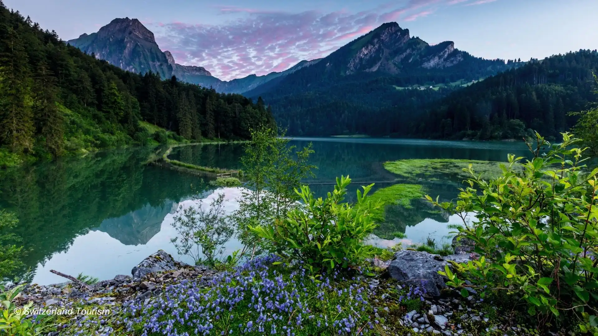 obersee