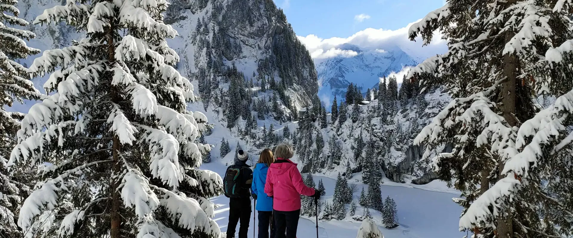 snowshoeing-in-stockhorn