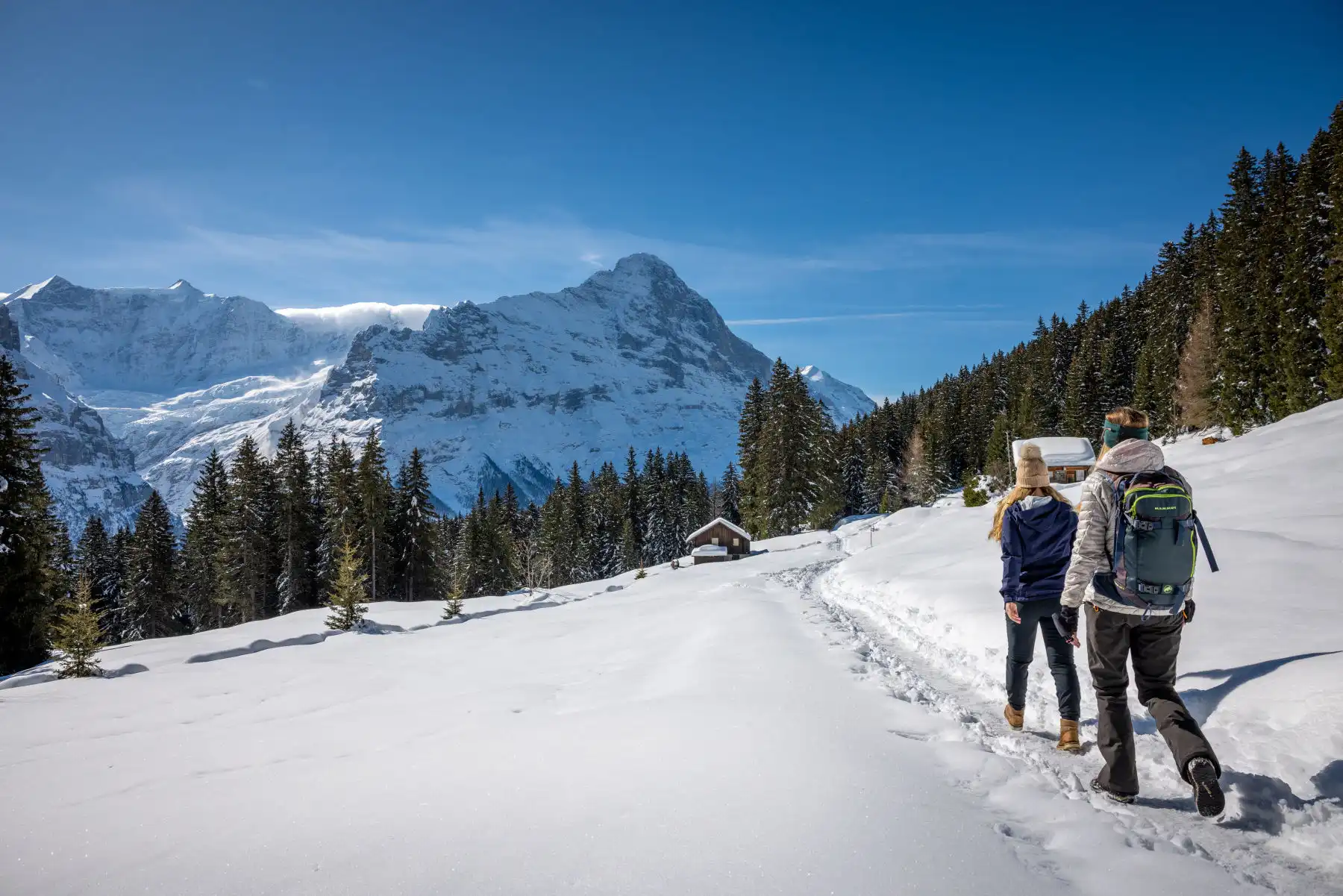 winter-hiking