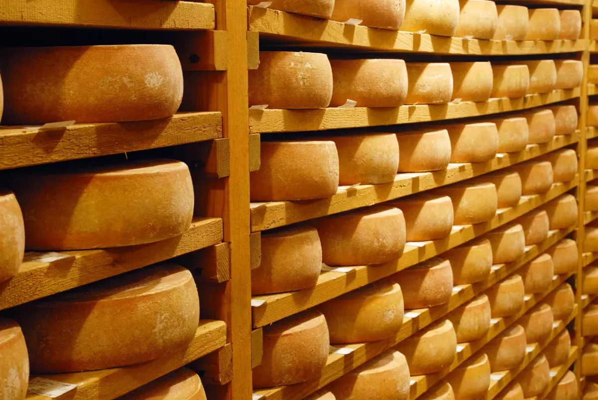 Gruyeres-cheese