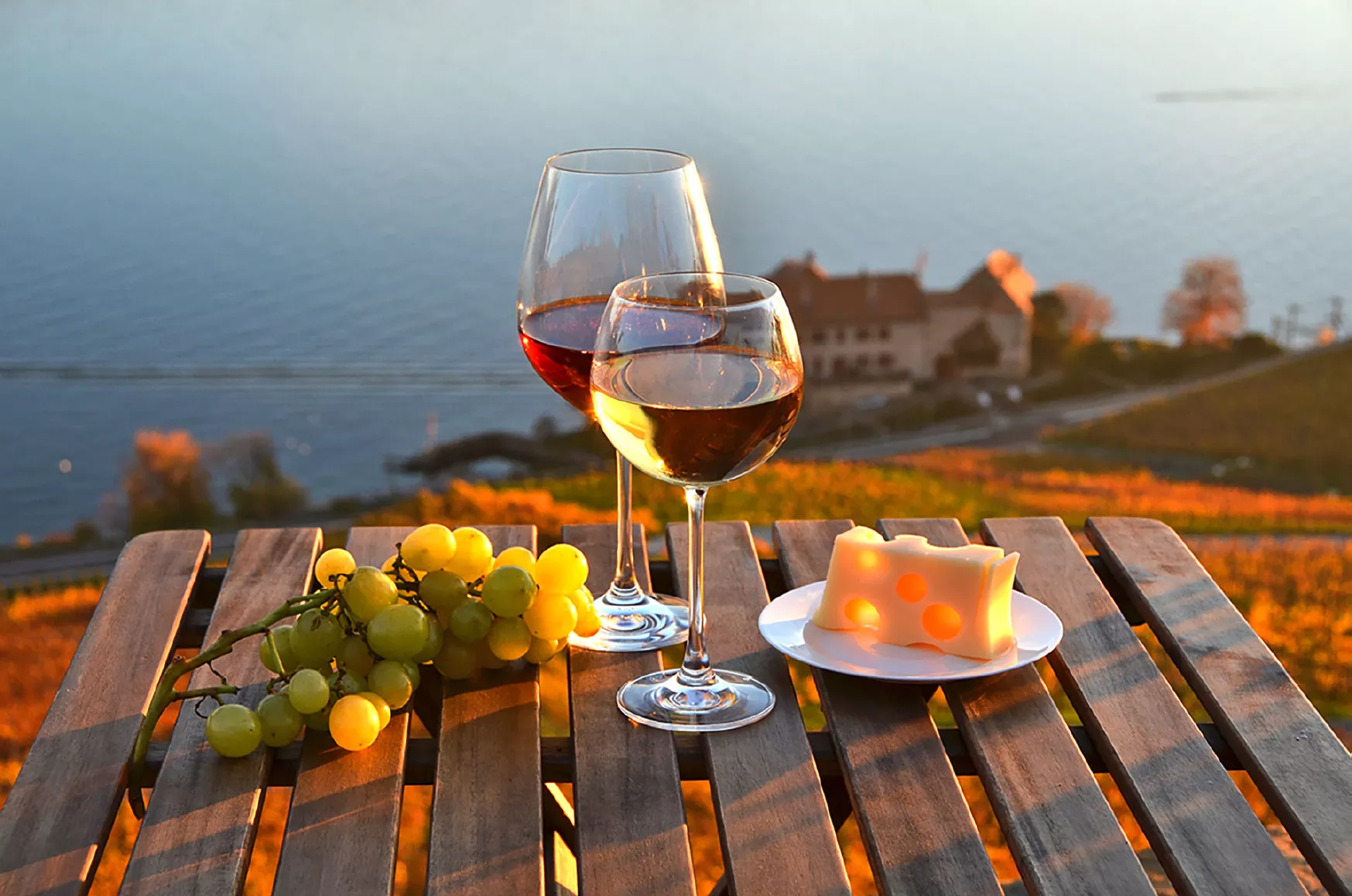 Lake-view-wine-tasting-in-Lavaux-Switzerland