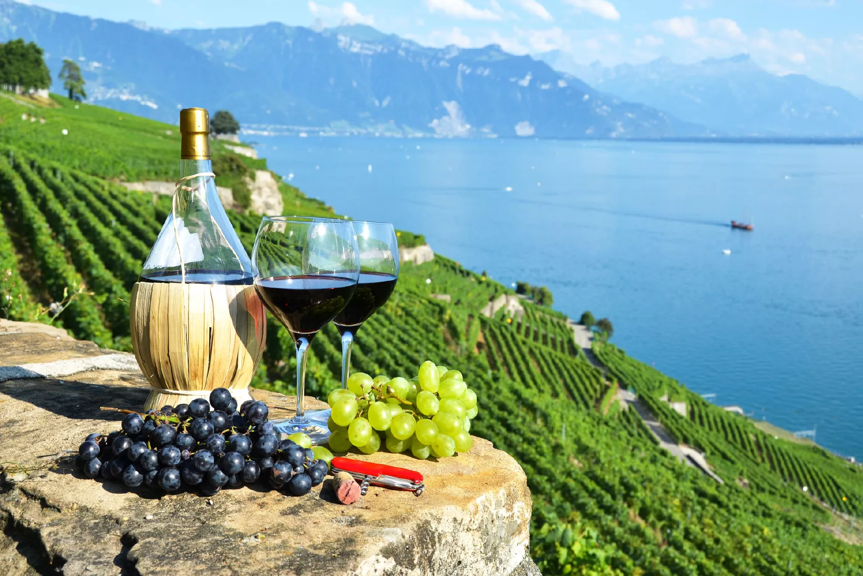 Swiss-Wine-Tasting-in-Lavaux-Vineyards