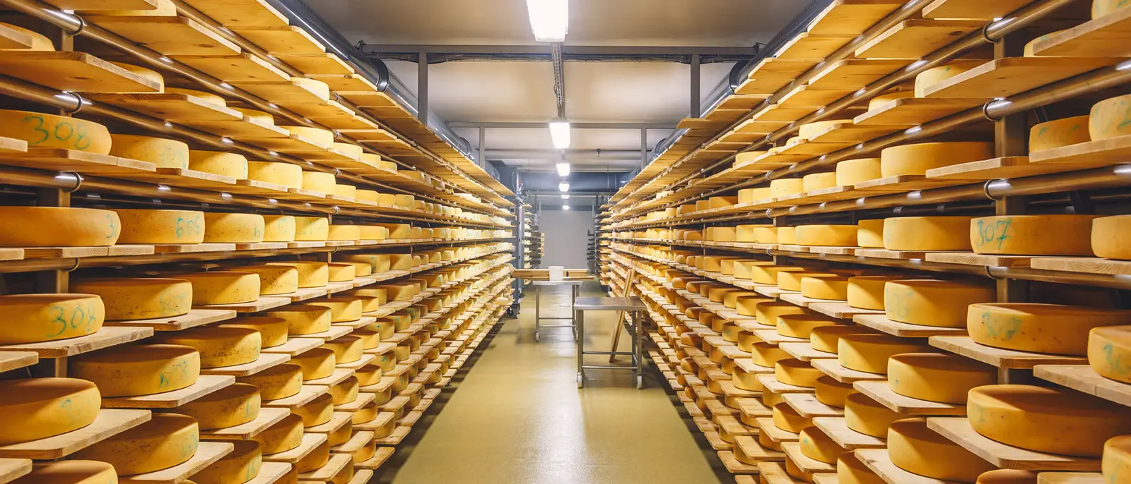 Gruyere Cheese factory