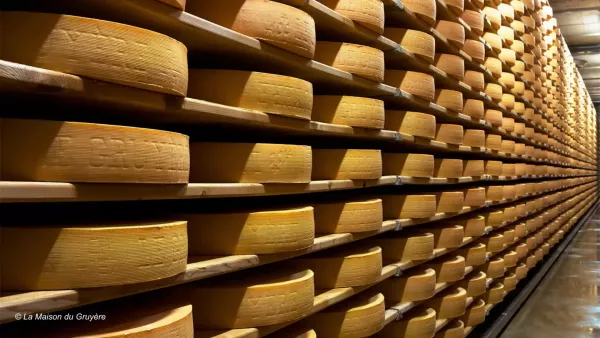 gruyere-cheese-factory