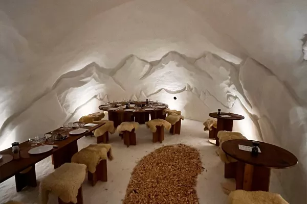 cozy igloo