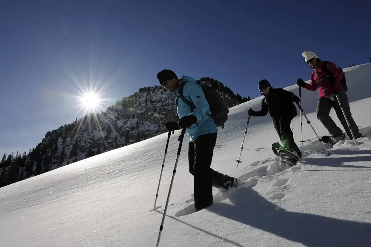 guided-snowshoe-hike