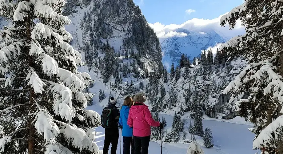 winter-snowshoe-hike