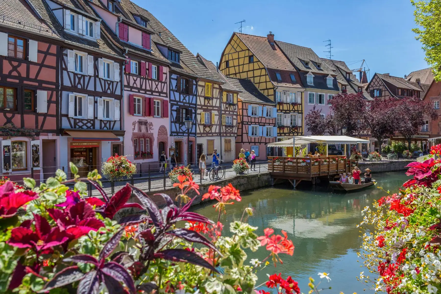 colmar