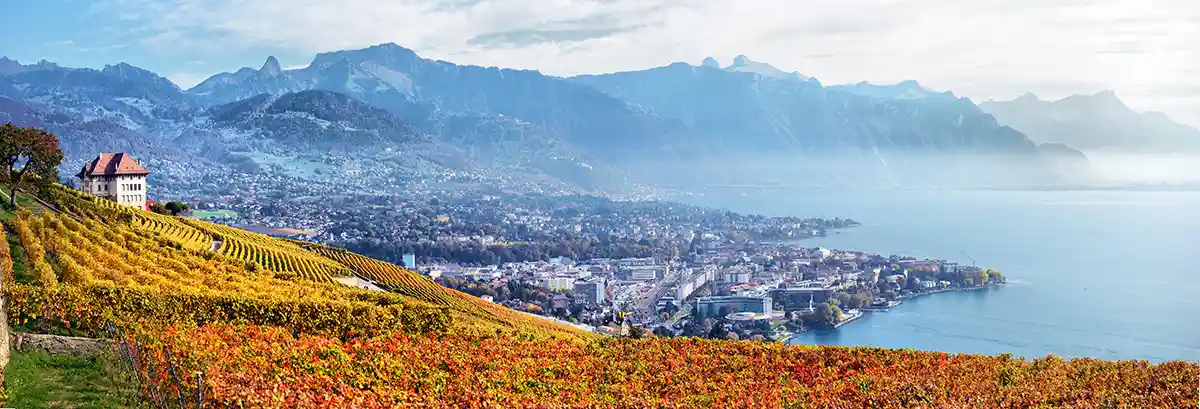 Panoramic view of Lavaux in autumn
